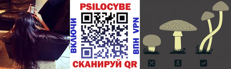 Галлюциногенные грибы Magic Shrooms  Купить  Петропавловск-Камчатский 